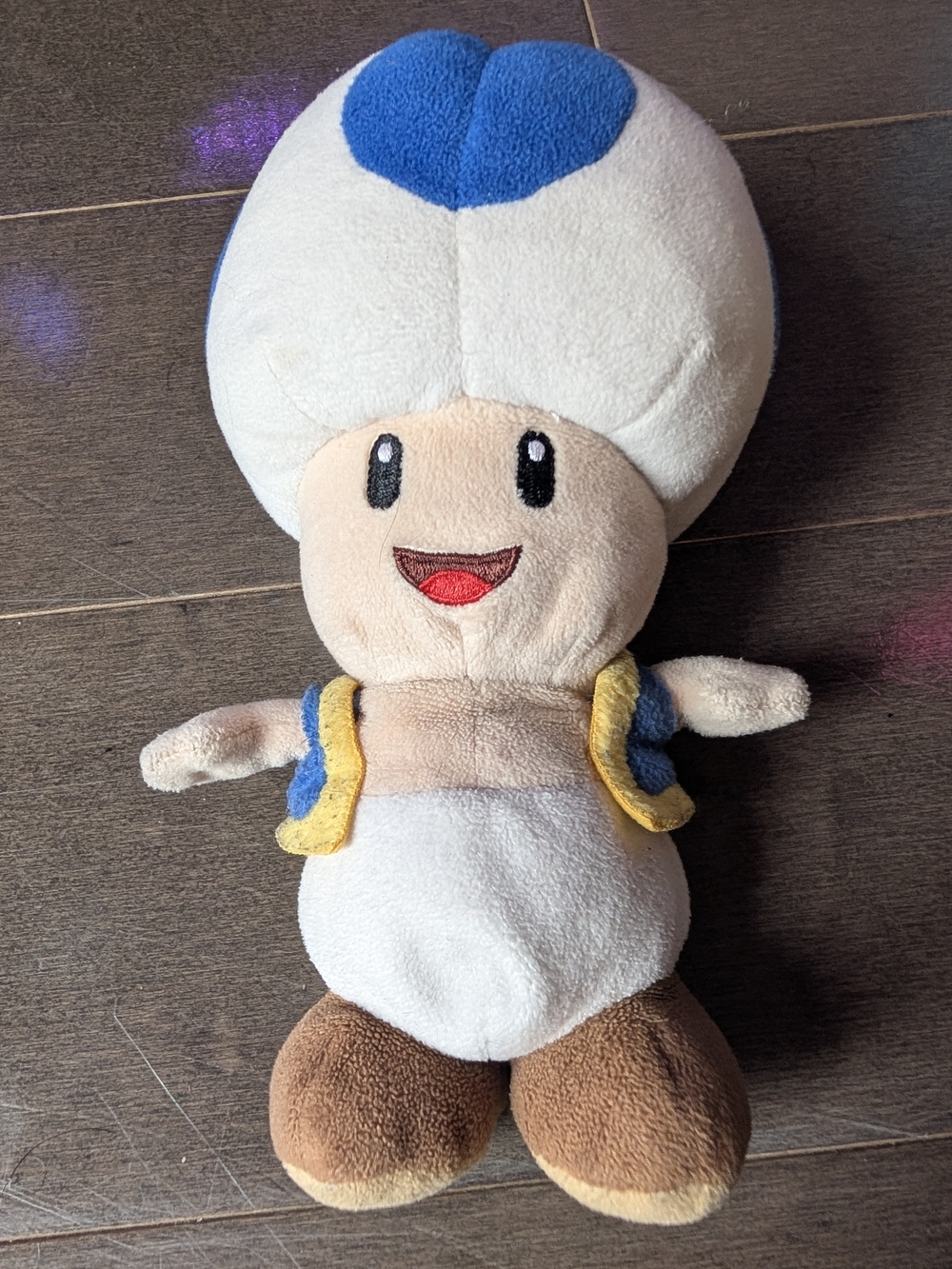 Super Mario Bros.BlueToad Plushie